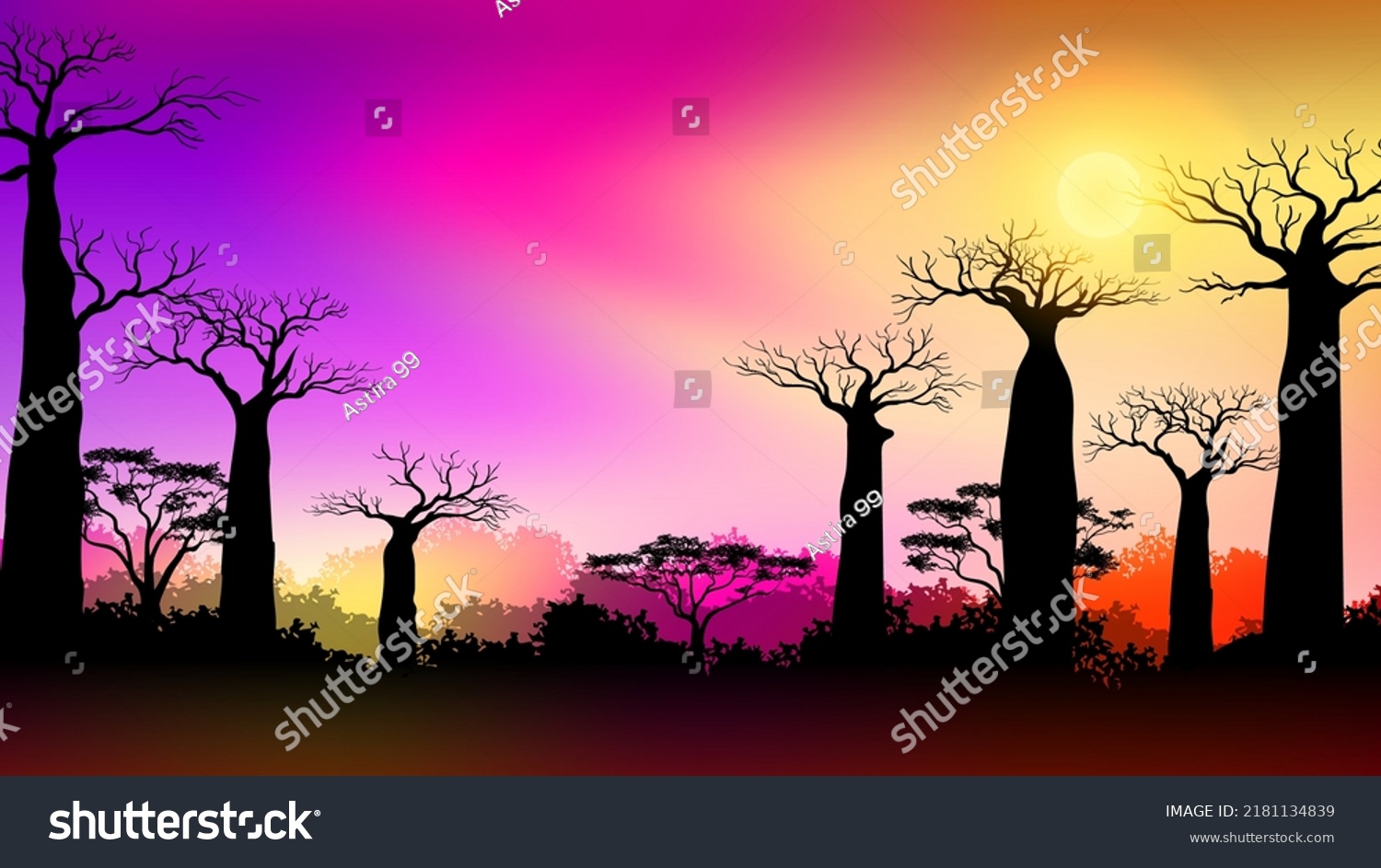 Baobab Trees Africa Savanna Landscape Sunset Stock Vector Royalty Free