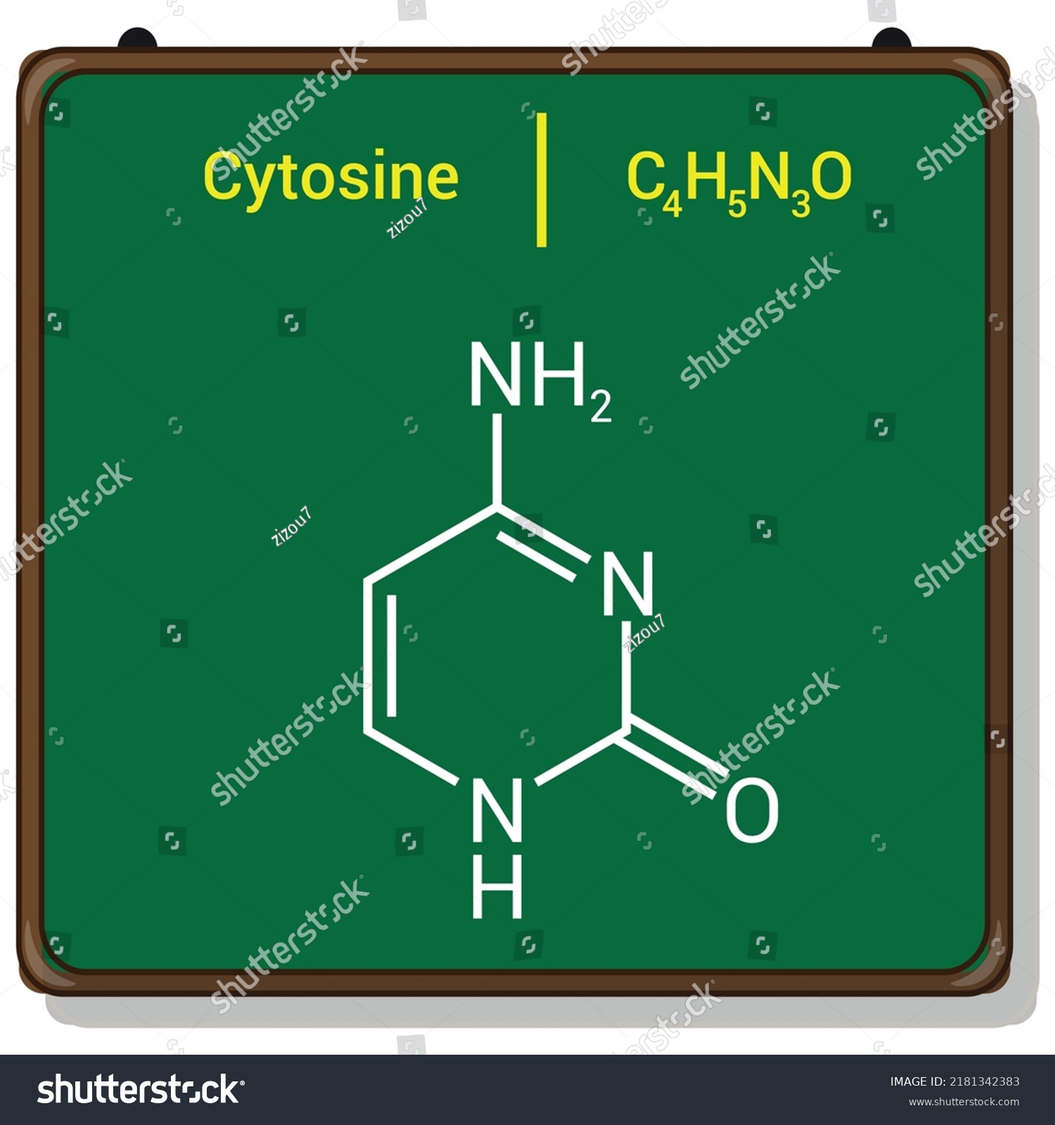 Chemical Structure Cytosine C4h5n3o Stock Vector Royalty Free 2181342383 Shutterstock