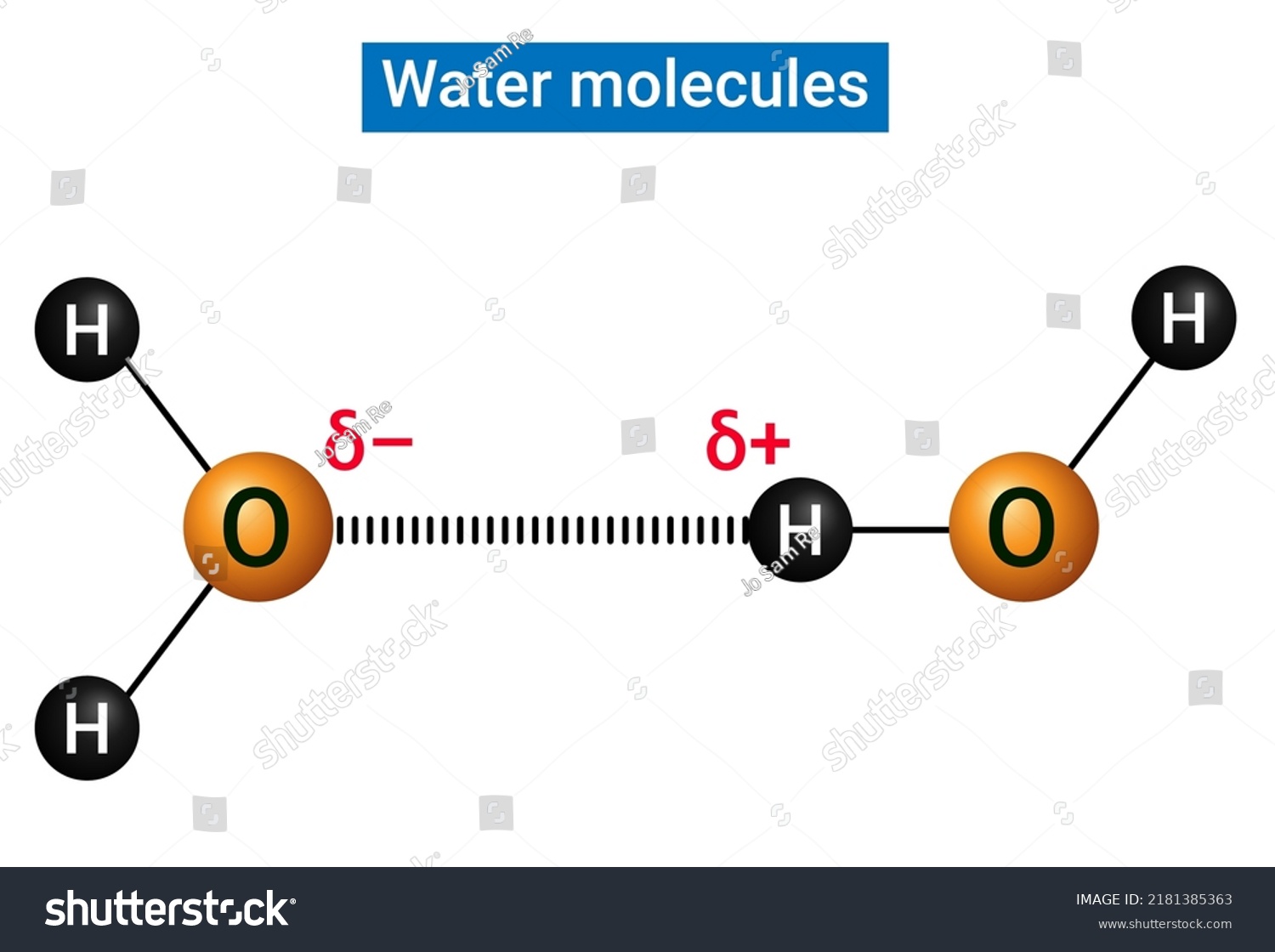 How Displaceable Are Water Molecules Biochemistry - vrogue.co