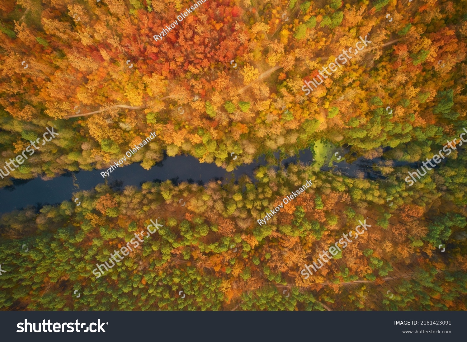 Aerial Top Down View Autumn Forest Stock Photo 2181423091 | Shutterstock