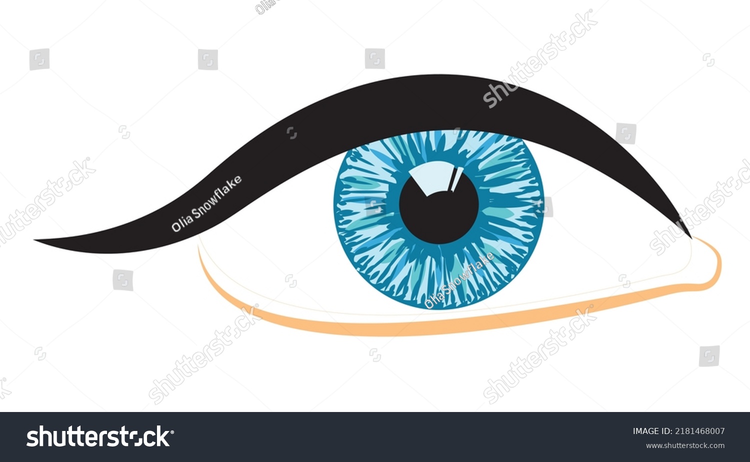 Human Eye Vector Illustration Isolated On Stock Vector (Royalty Free ...