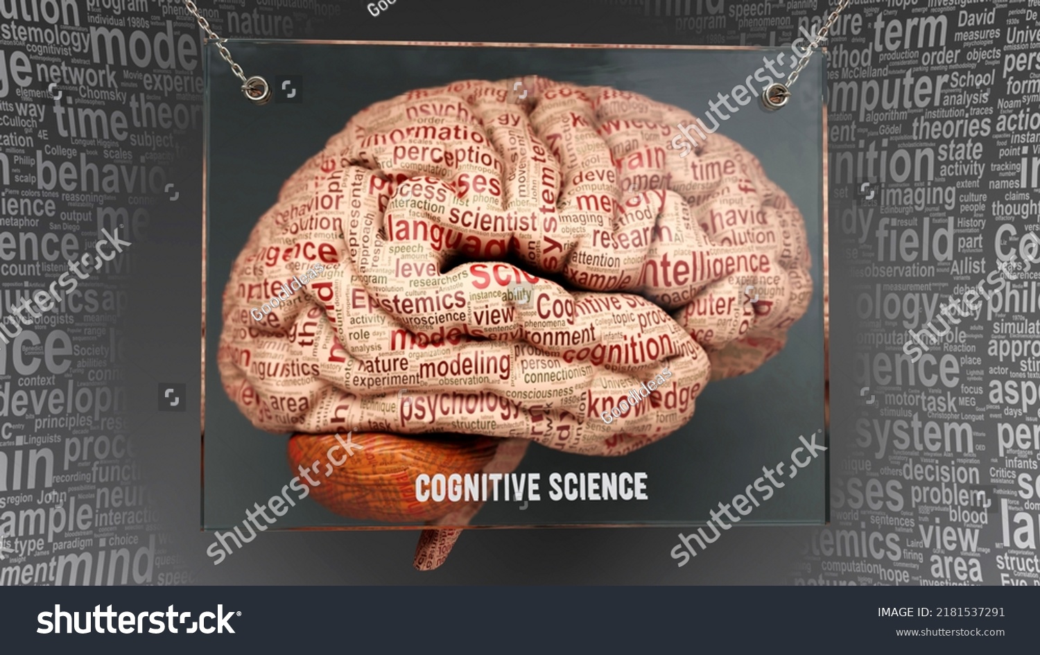 Cognitive Science Human Brain Dozens Terms Stock Illustration ...