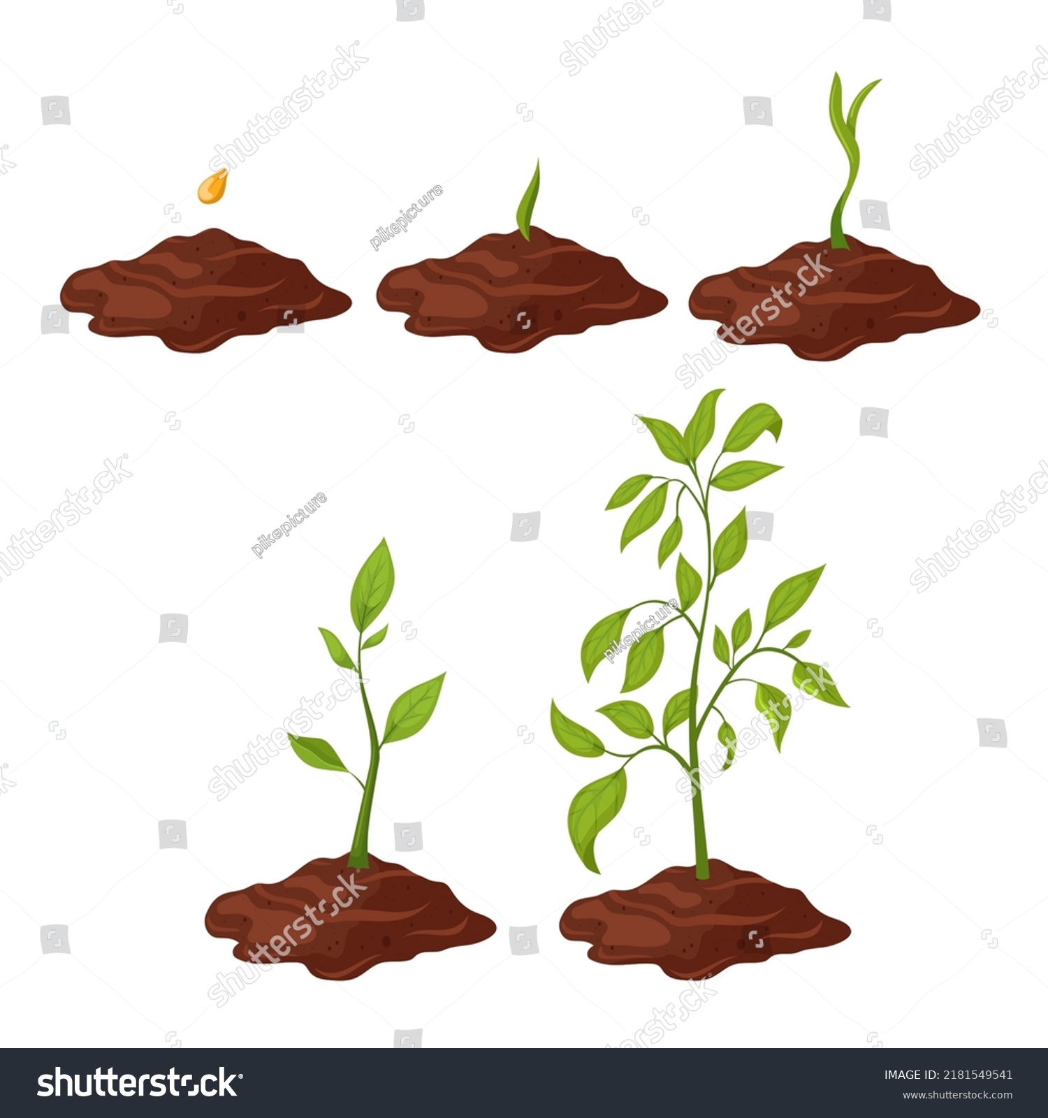 Plant Gtowth Set Cartoon Tree Sprout Stock Vector (Royalty Free ...