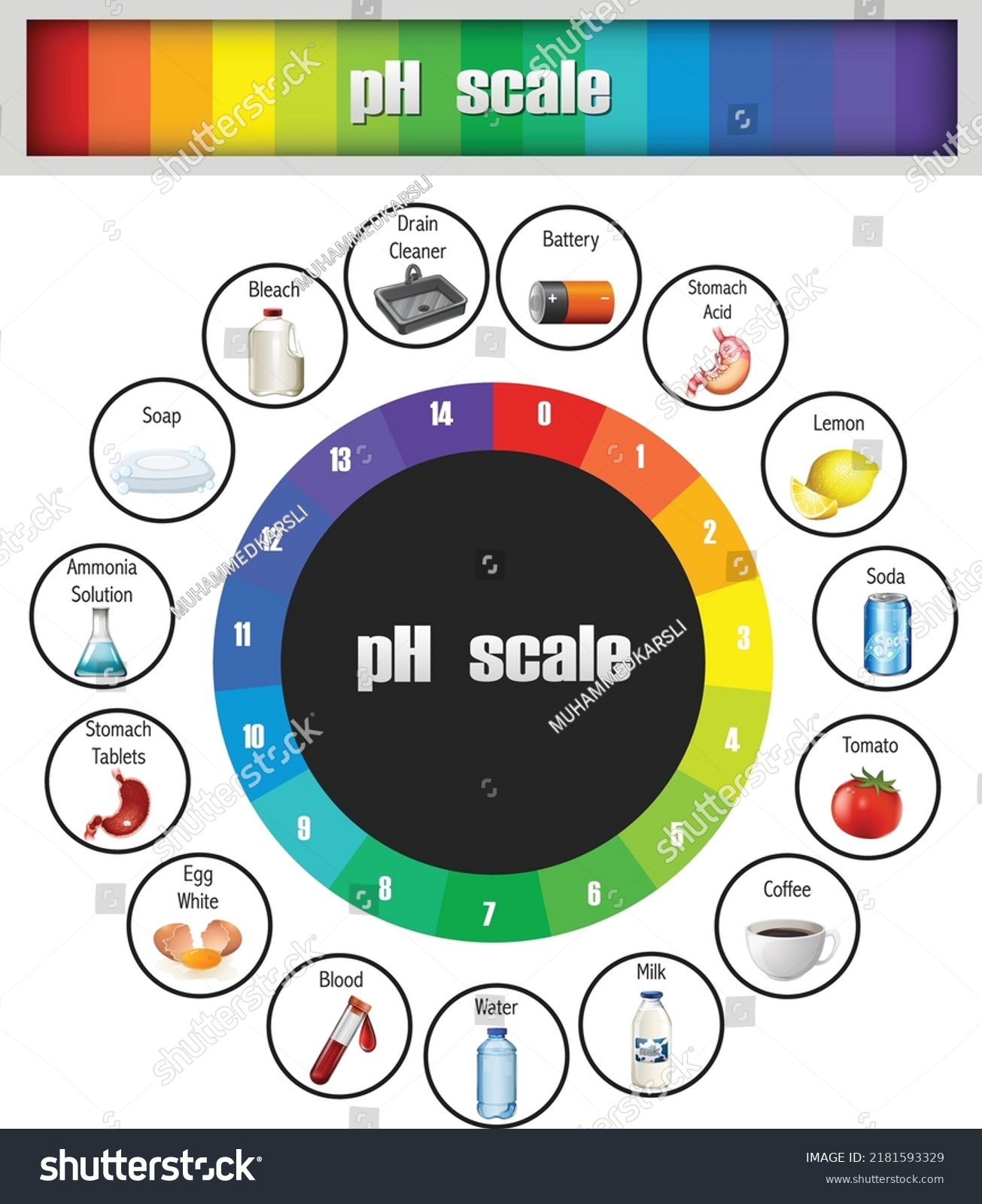 Science Ph Scale Template Vector Stock Vector (royalty Free) 2181593329 