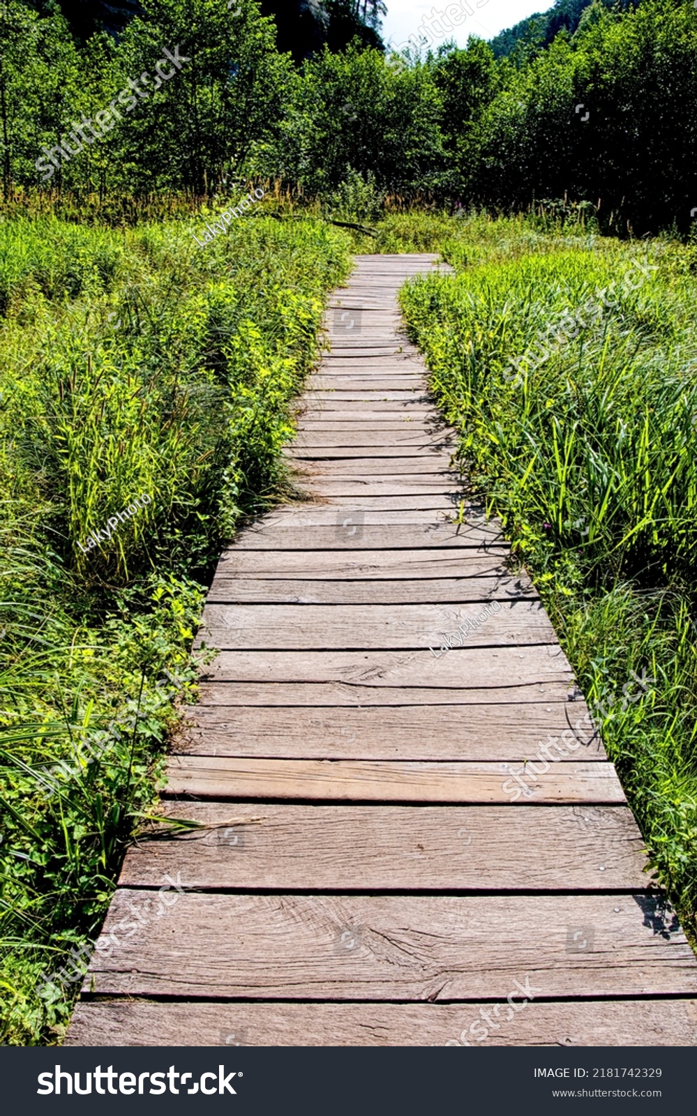 Empty Wooden Pathway Forest Wooden Footbridge Stock Photo 2181742329 ...