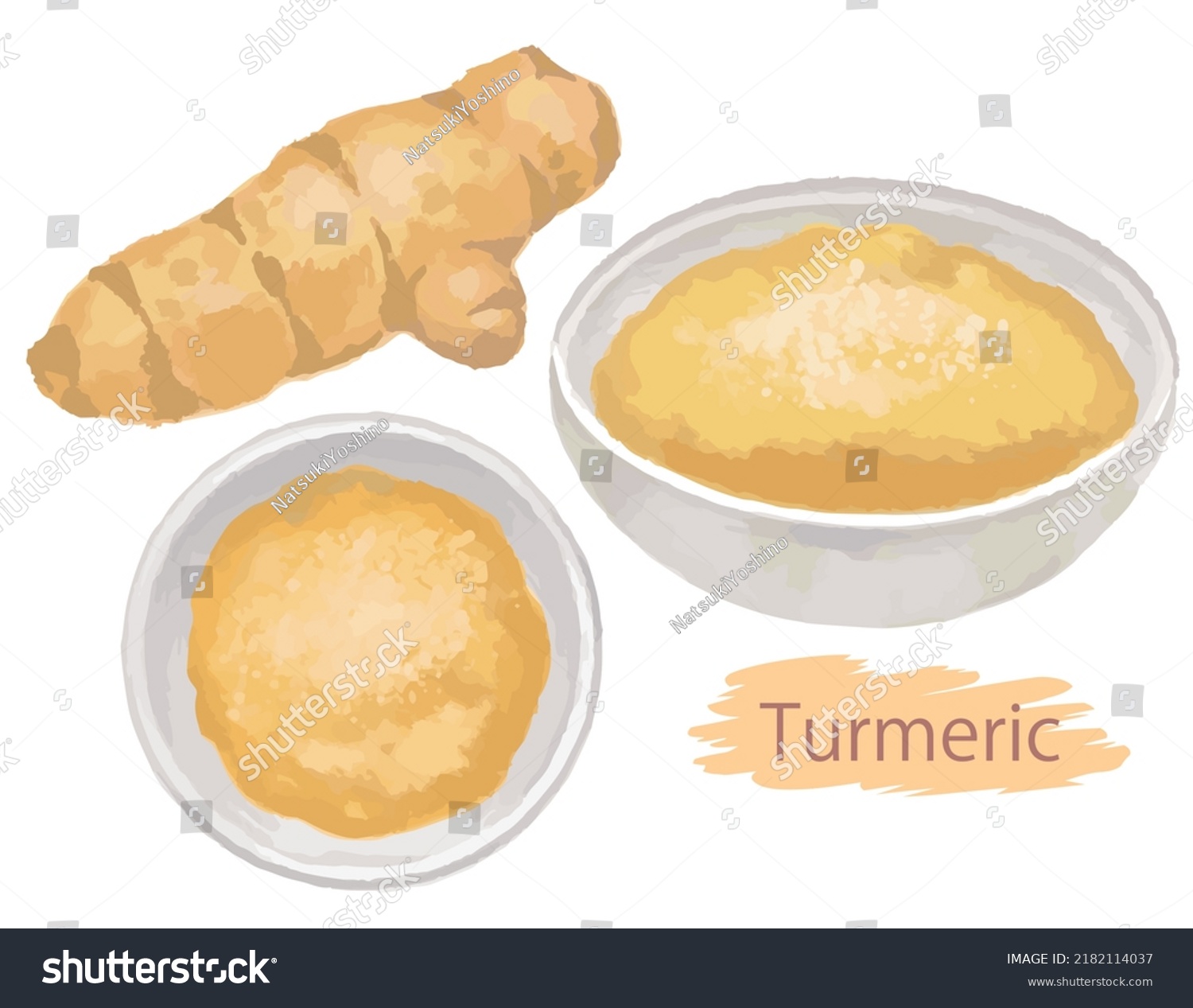 Watercolor Turmeric Isolated On White Background Stock Vector Royalty