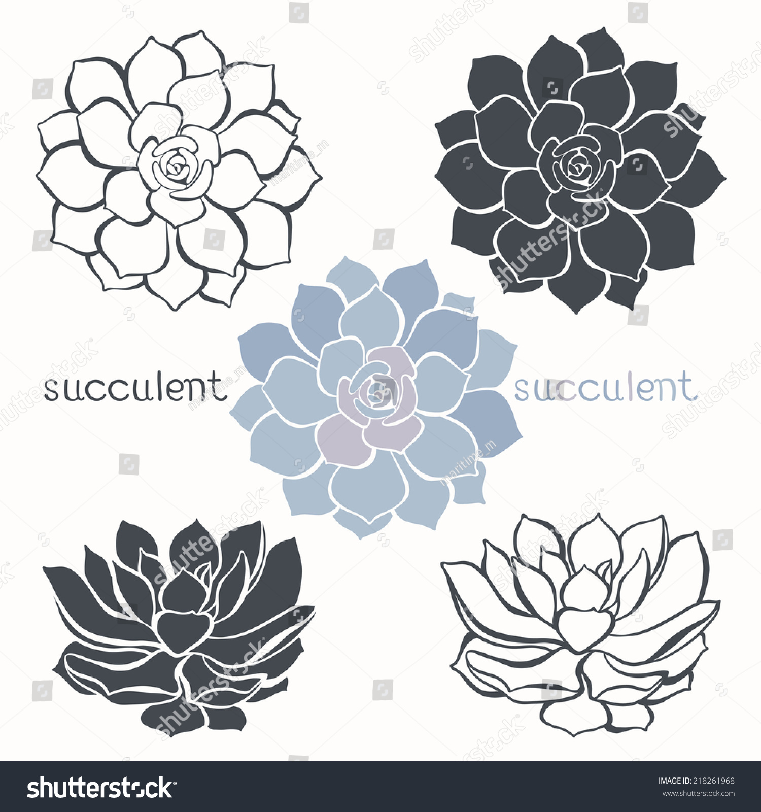Temukan gambar stok Graphic Set Succulents Isolated On White beresolusi HD ...