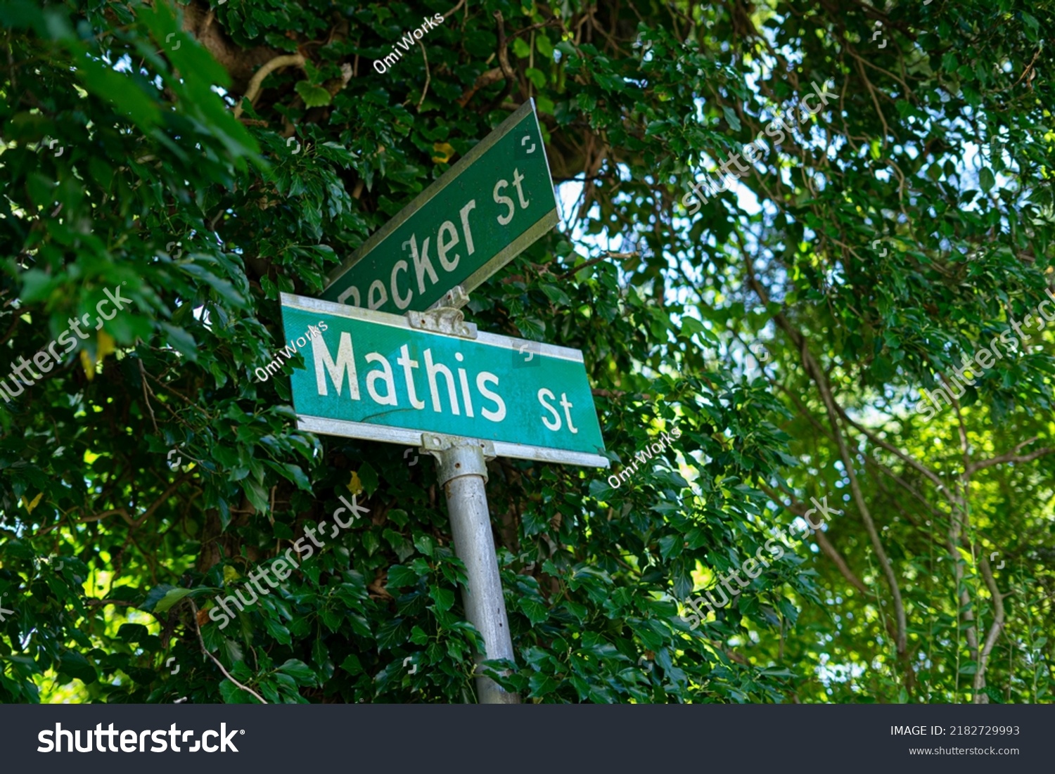 street-name-signs-upstate-new-york-stock-photo-2182729993-shutterstock