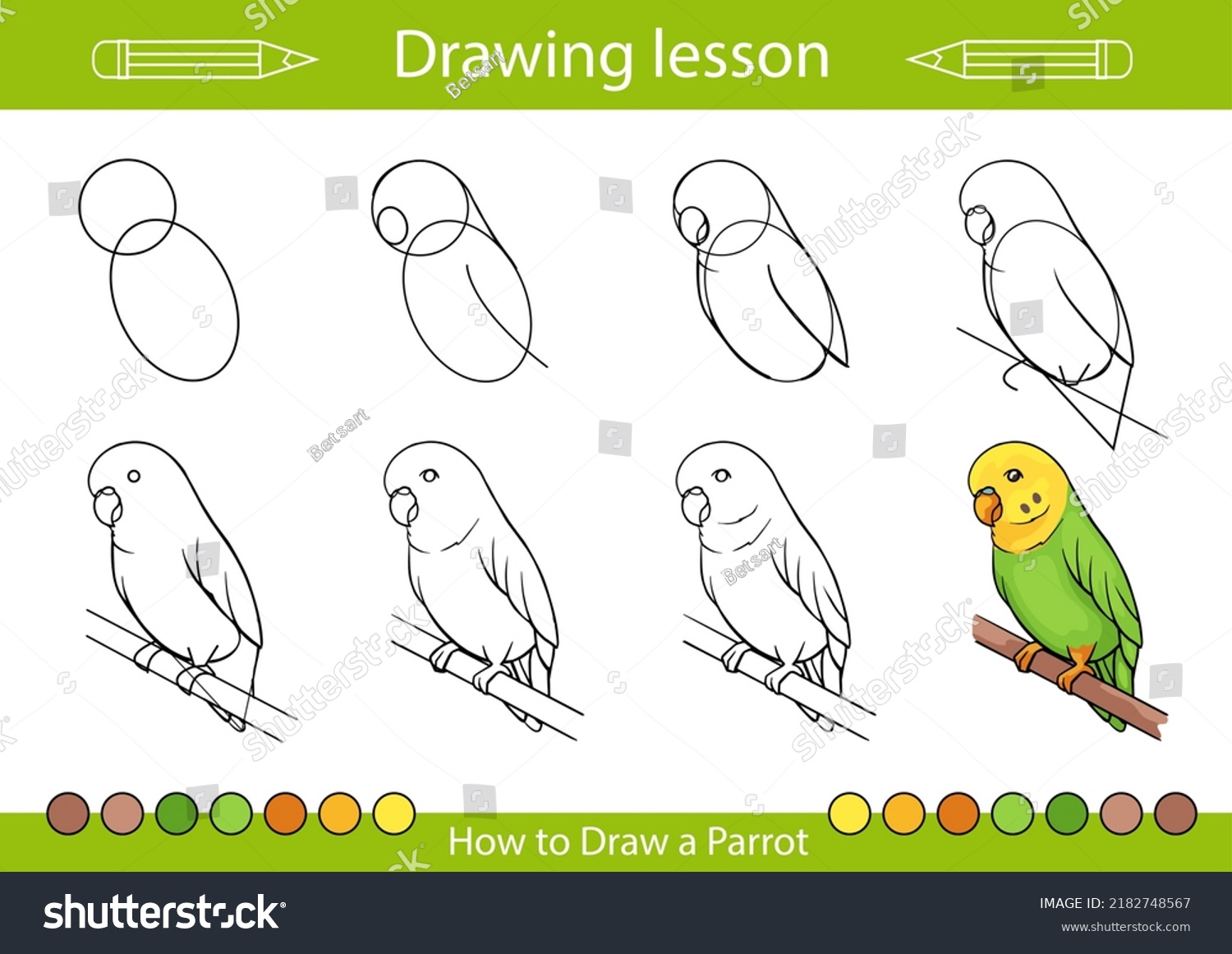 Drawing Tutorial How Draw Budgie Wavy Stock Vector (Royalty Free