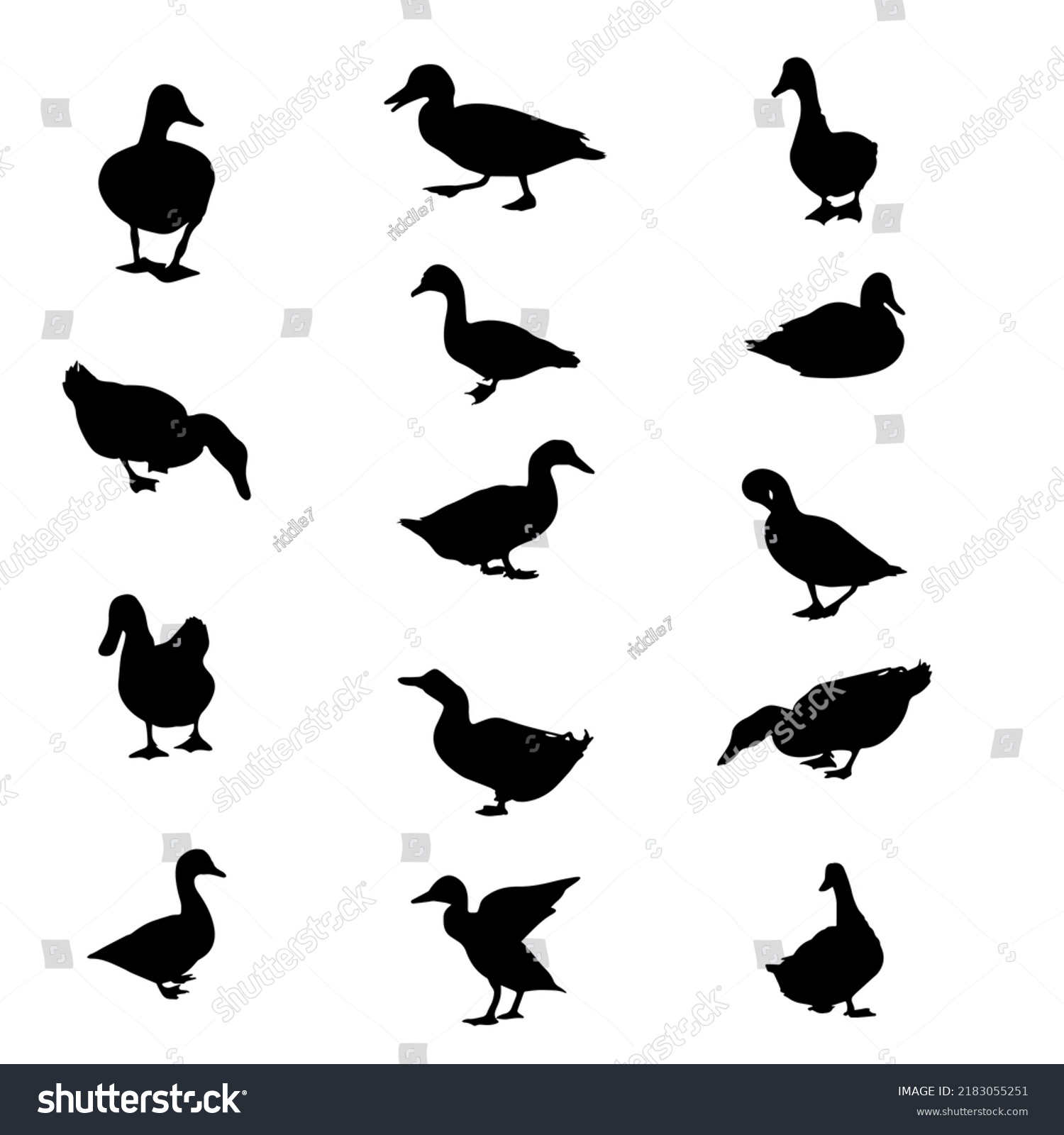 Ducks Silhouette Stock Illustration On White Stock Vector (Royalty Free ...