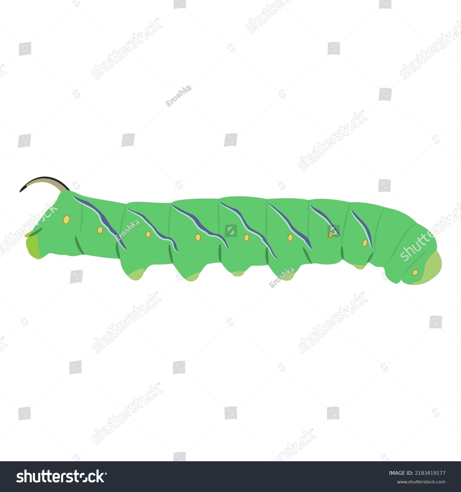 Green Caterpillar Privet Hawk Moth Sphinx Stock Vector (Royalty Free ...