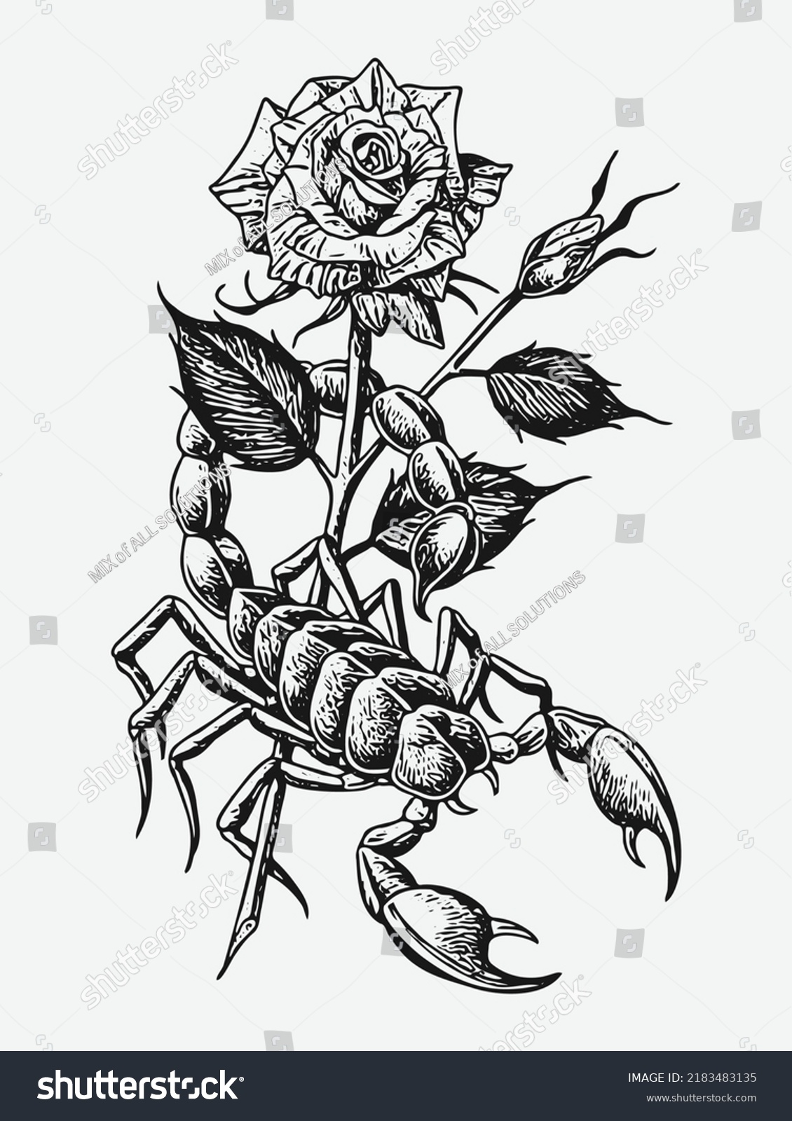 Scorpion Roses Tattoo Vector Illustration Stock Vector (Royalty Free ...