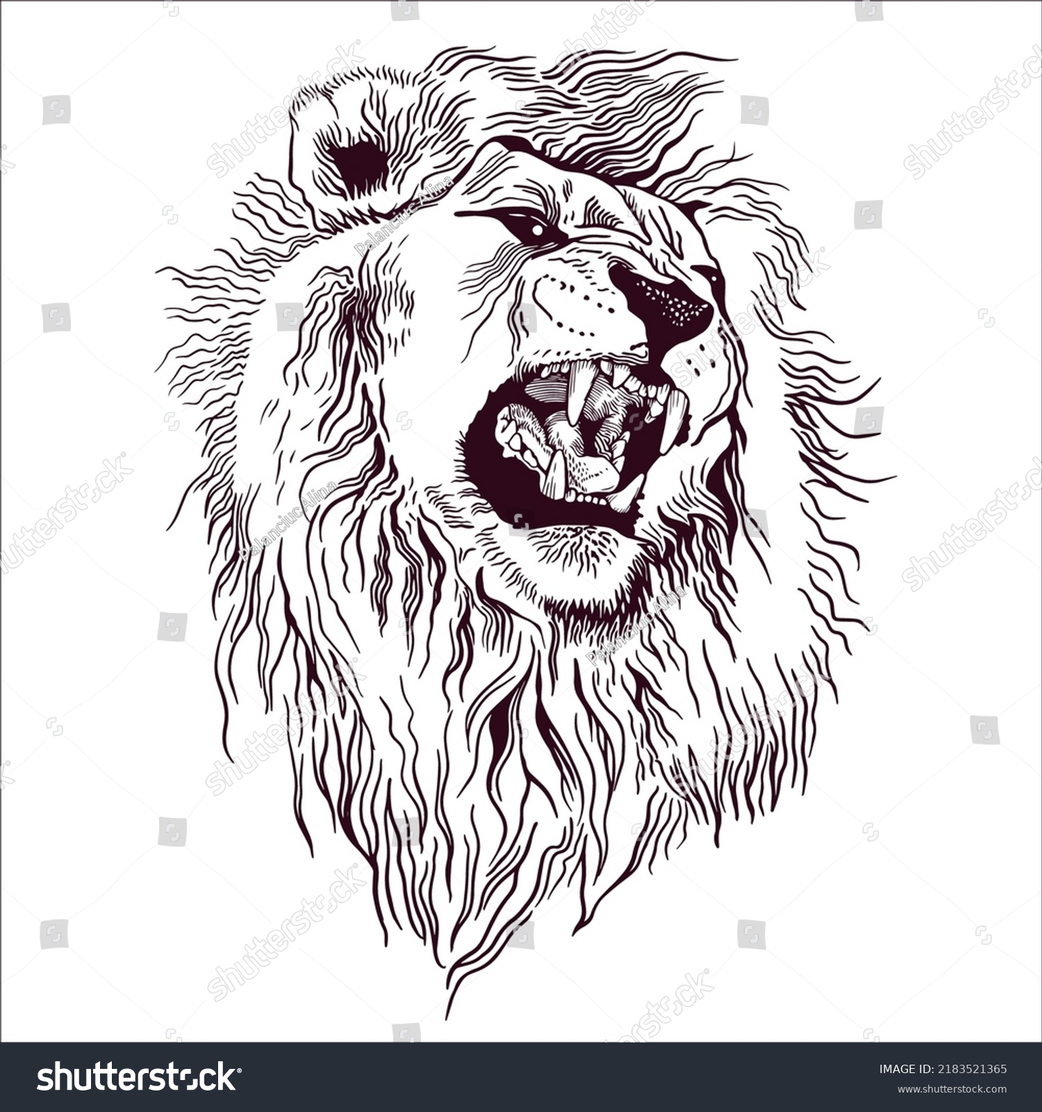 Pencil Drawing Head Roaring Lion Minimalist Stock Vector (Royalty Free ...