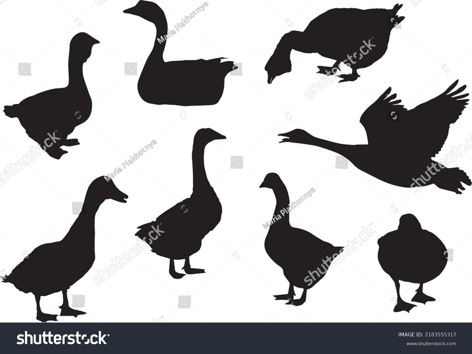 Black Silhouettes Goose Different Poses Isolated Stock Vector (Royalty ...