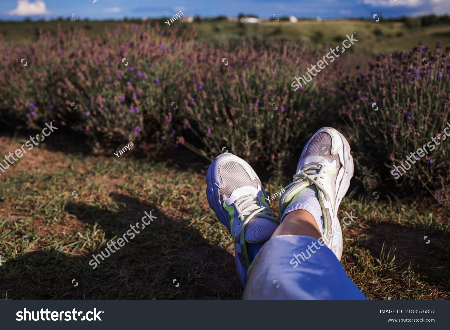 Female Girl Legs Lavender Bushes Warm Stock Photo 2183576857 | Shutterstock