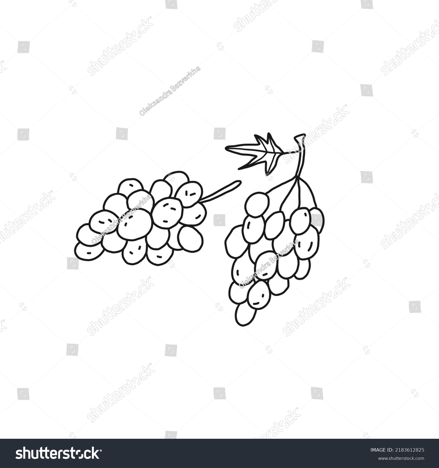 Grapes Outline Icon Fruit Healthy Nutrition Stock Vector (Royalty Free ...