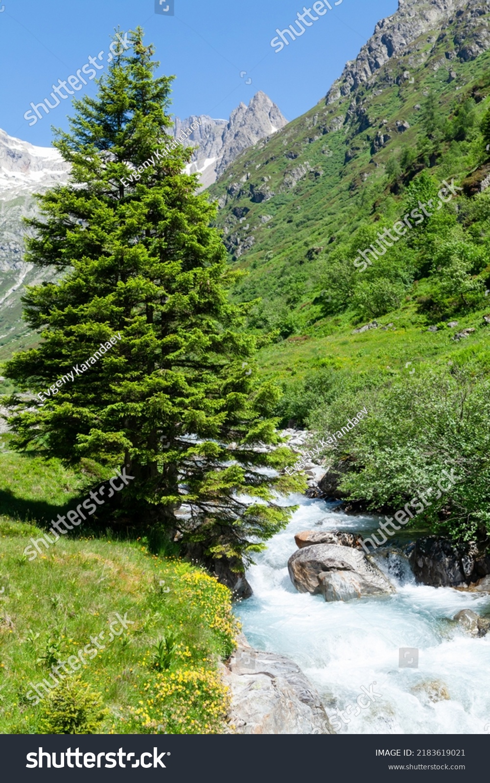 Landscape Snowy Alps Mountains Switzerland Blooming Stock Photo