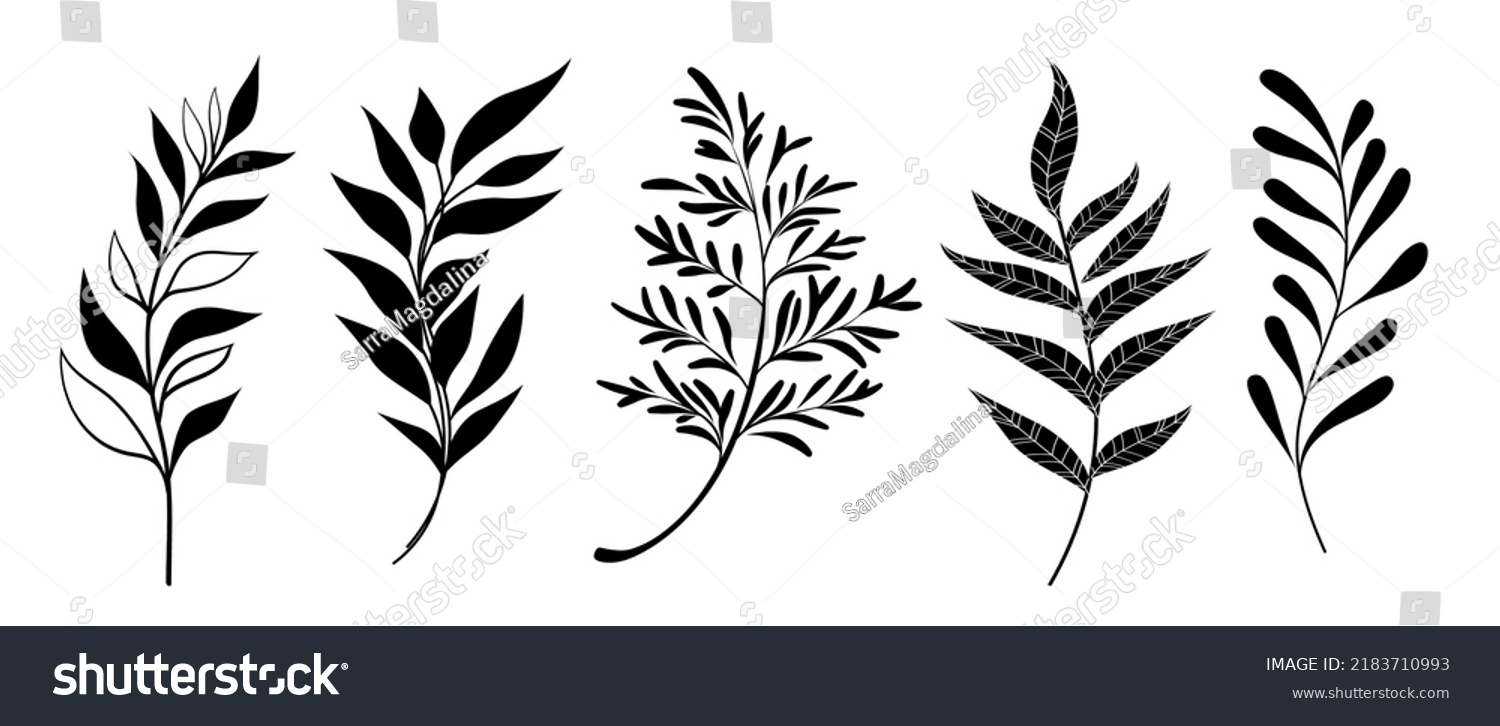 Set Leaves Black Silhouette Leaves On Stock Vector (Royalty Free ...