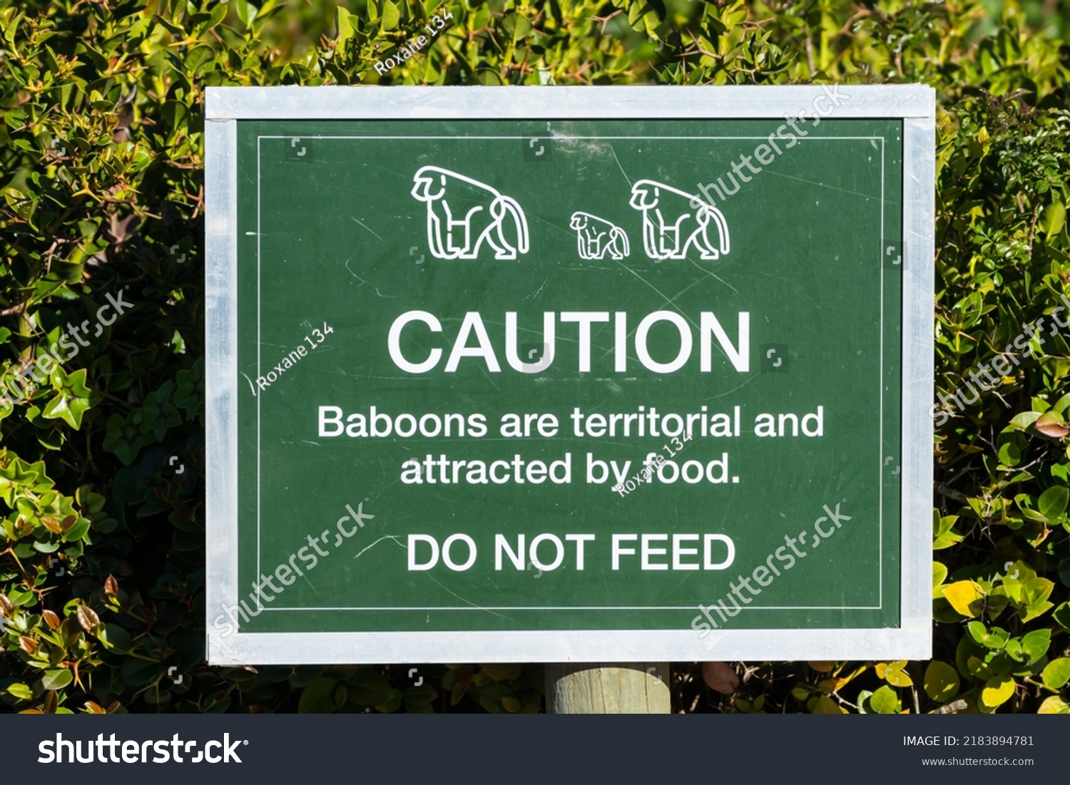 caution-sign-signage-do-not-feed-stock-photo-2183894781-shutterstock