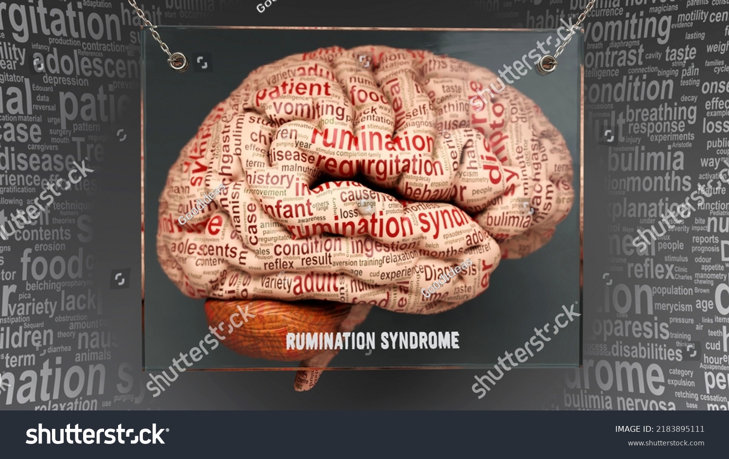 Rumination Syndrome Anatomy Causes Effects Projected Stock Illustration ...