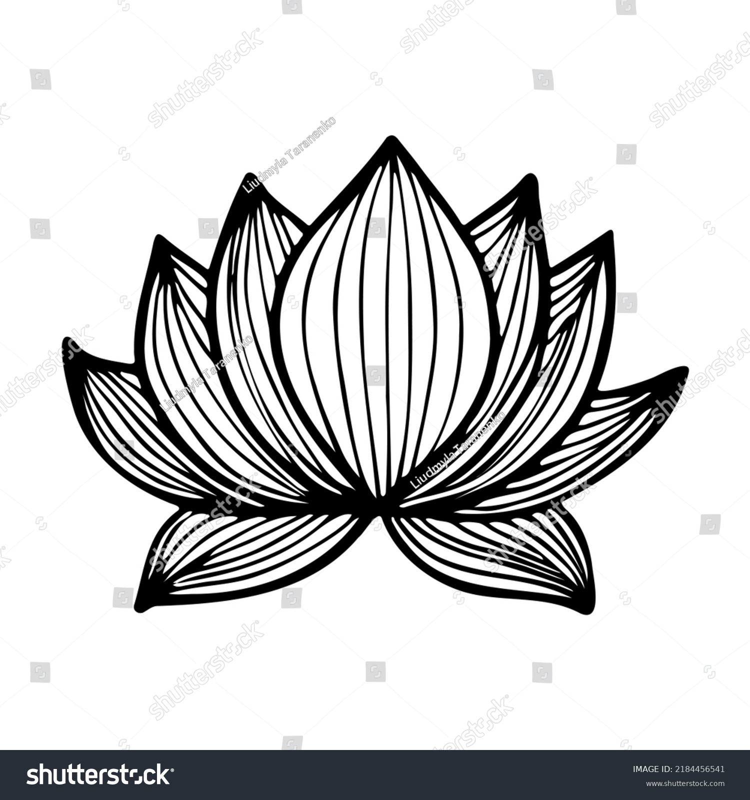 lotus-flower-black-white-doodle-style-stock-vector-royalty-free