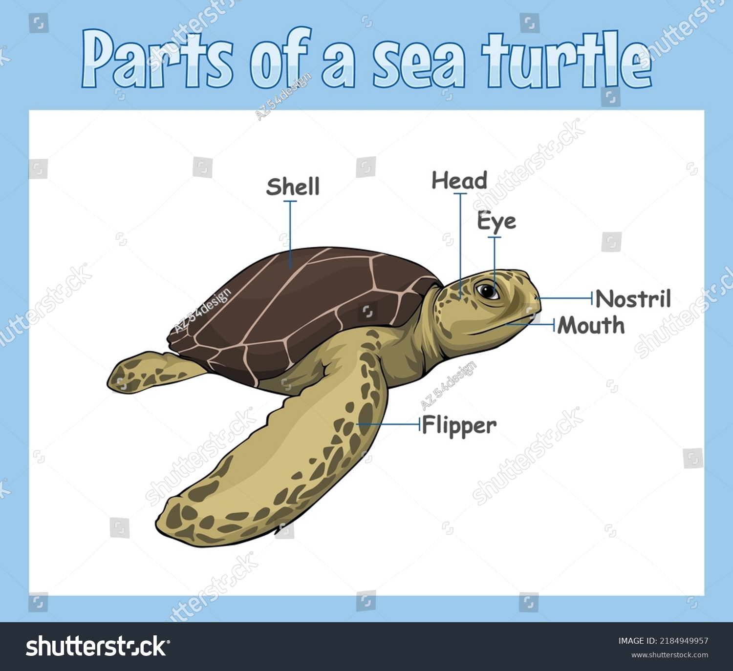 Parts Sea Turtle Vector Vector File Stock Vector (Royalty Free ...