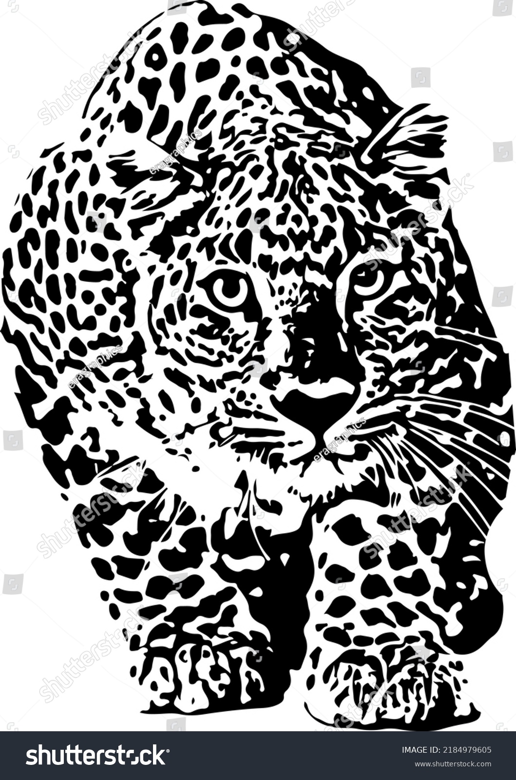 Silhouette Tiger Sketch Drawing Tiger Line Stock Vector (Royalty Free ...