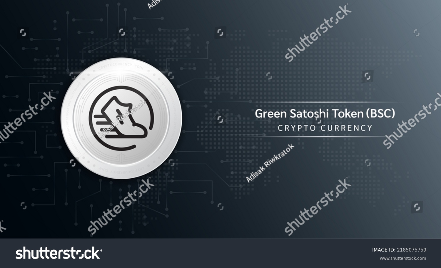 Green Satoshi Token Coin Cryptocurrency Token Stock Vector (Royalty