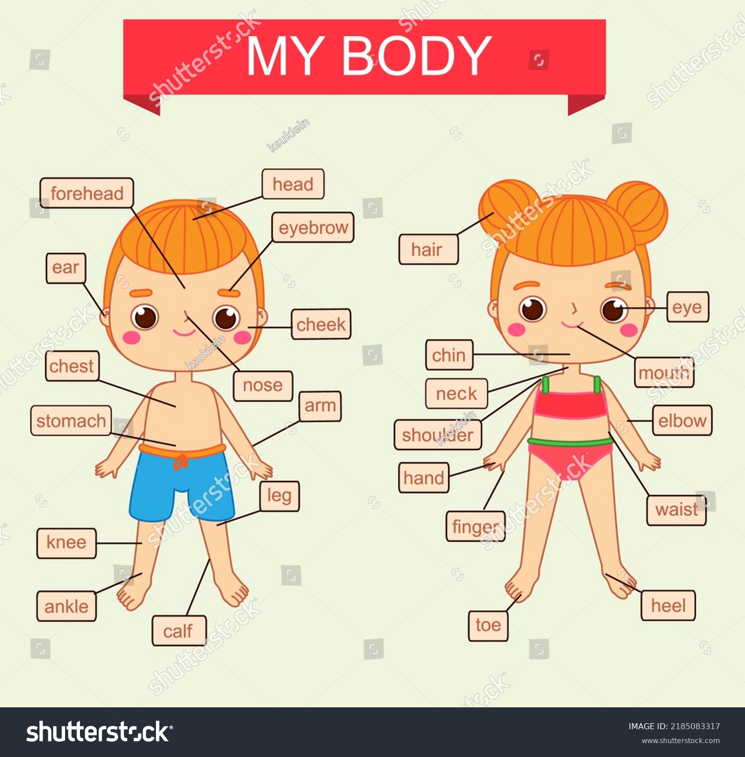 My Body Theme Educational Illustration Kids Stock Illustration ...
