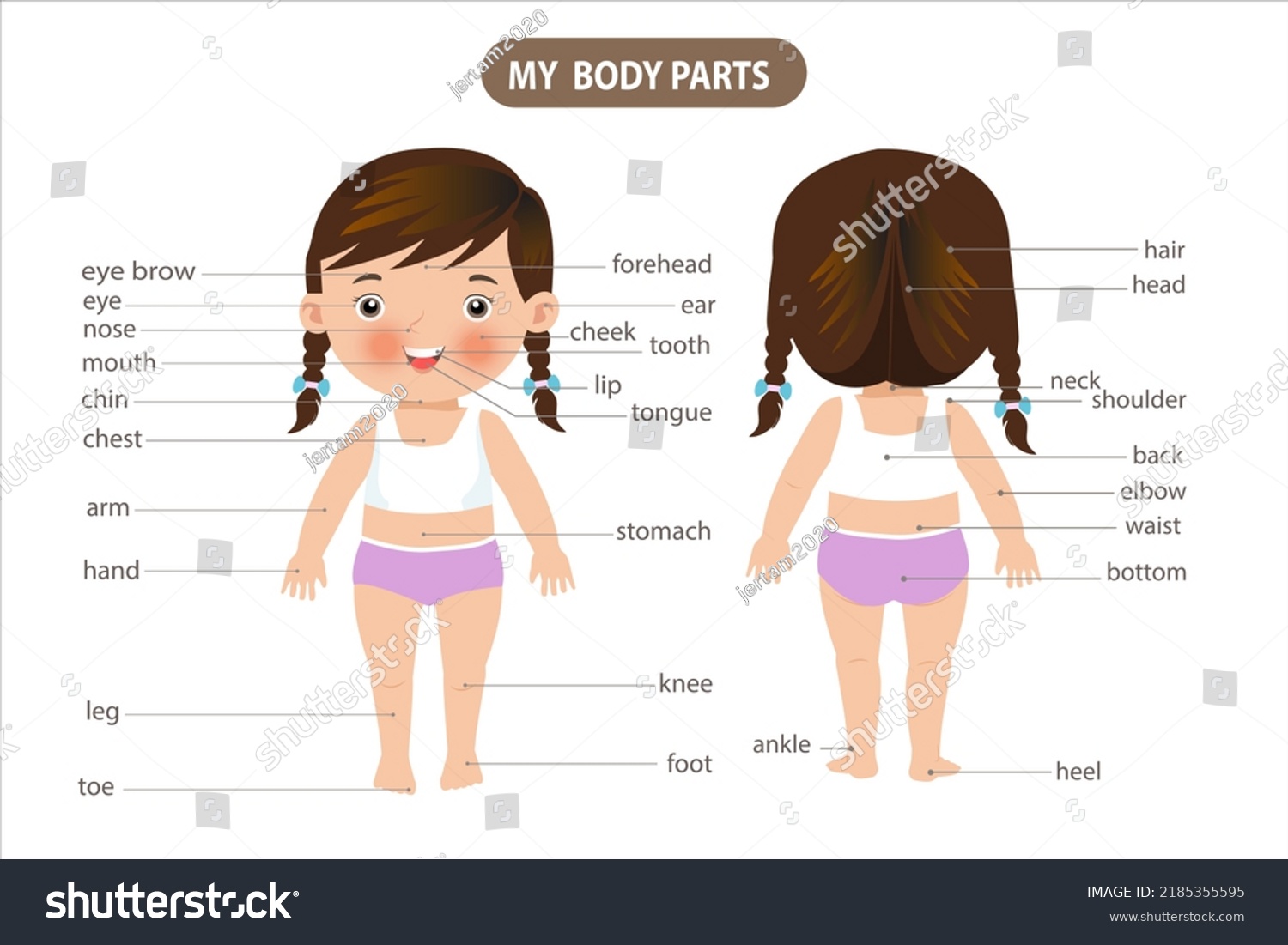 Cartoon Visual Dictionary Children About Human Stock Vector (Royalty ...