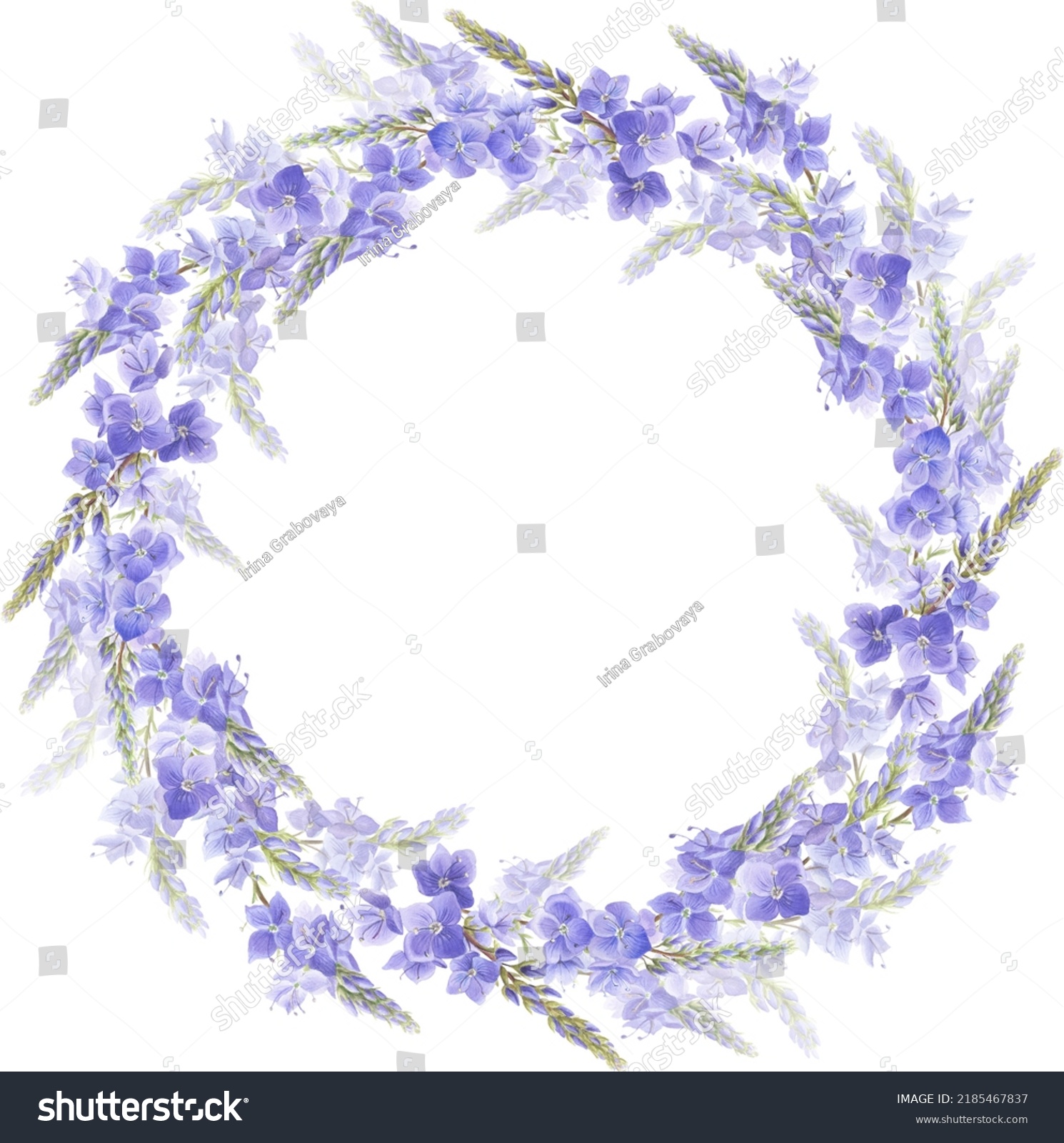 Watercolor Floral Illustration Flower Wreath Blue Stock Illustration ...