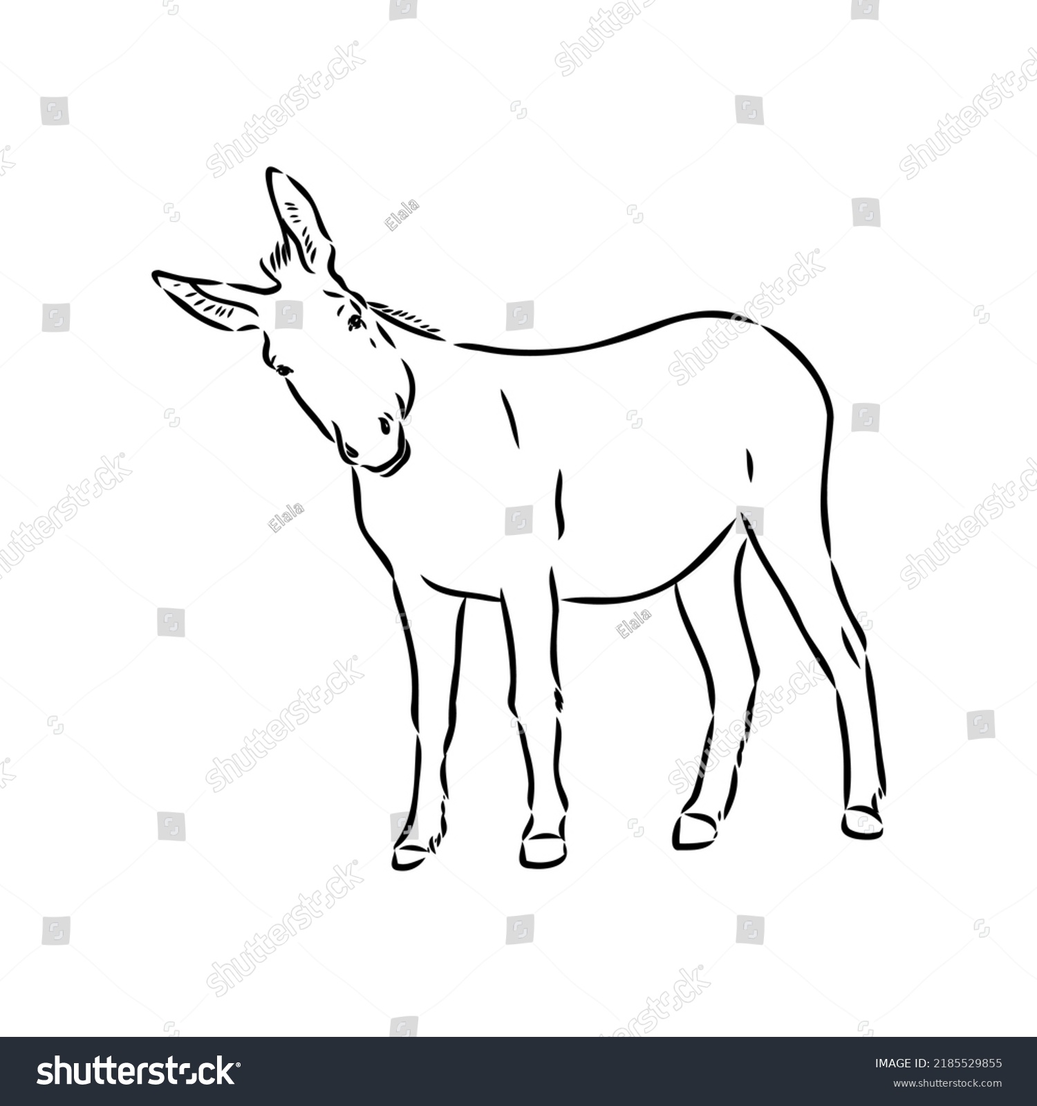 Sketch Donkey Hand Drawn Illustration Donkey Stock Vector (Royalty Free ...