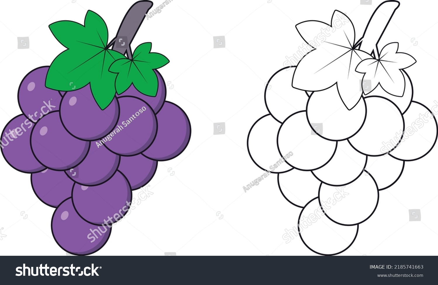 Nice Grape Graphic Vector Illustration Kids Stock Vector (Royalty Free ...