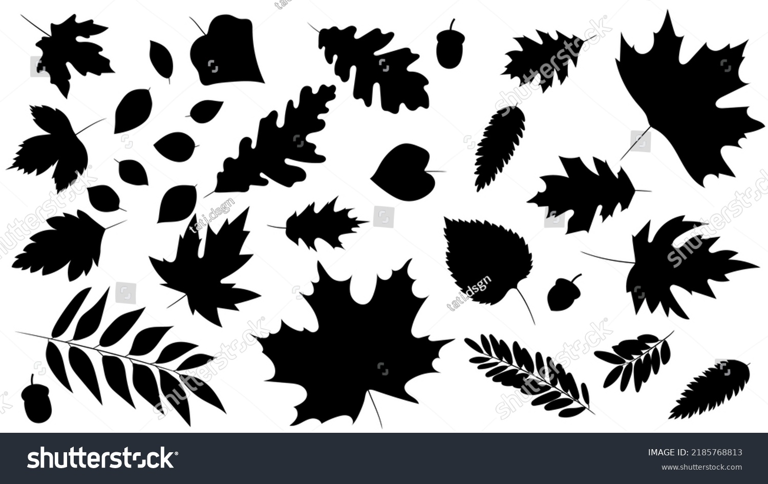 Big Set Leaves Different Kind Trees Stock Vector (Royalty Free ...