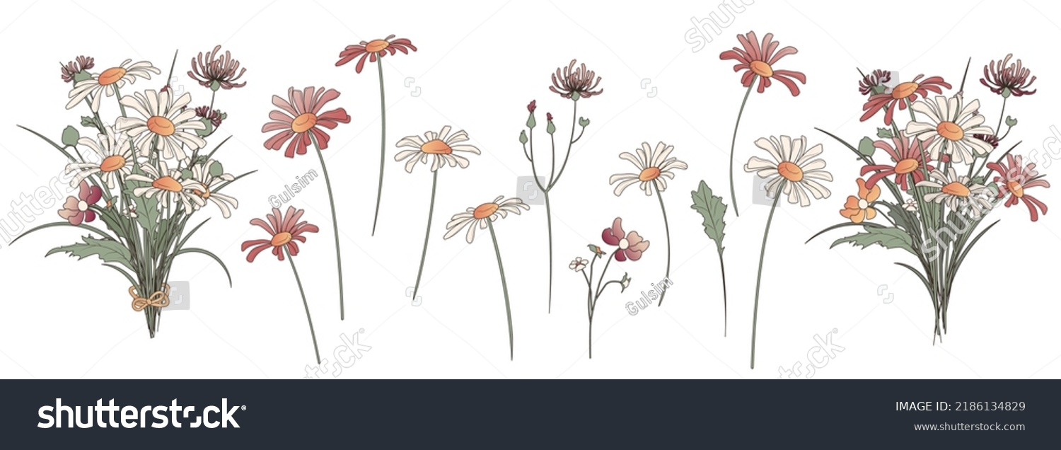 100,581 Vintage Wildflower Drawing Images, Stock Photos & Vectors ...