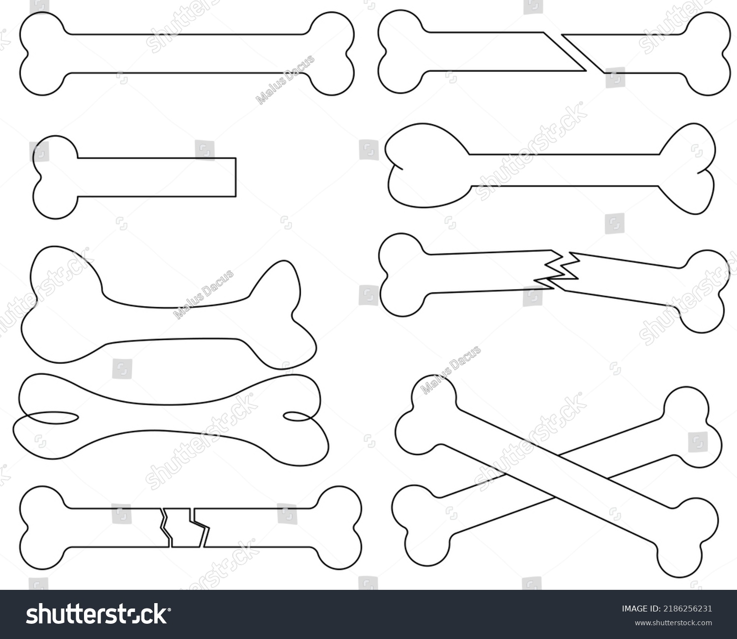 Bone Outline Collection Set Vector Stock Vector (Royalty Free ...