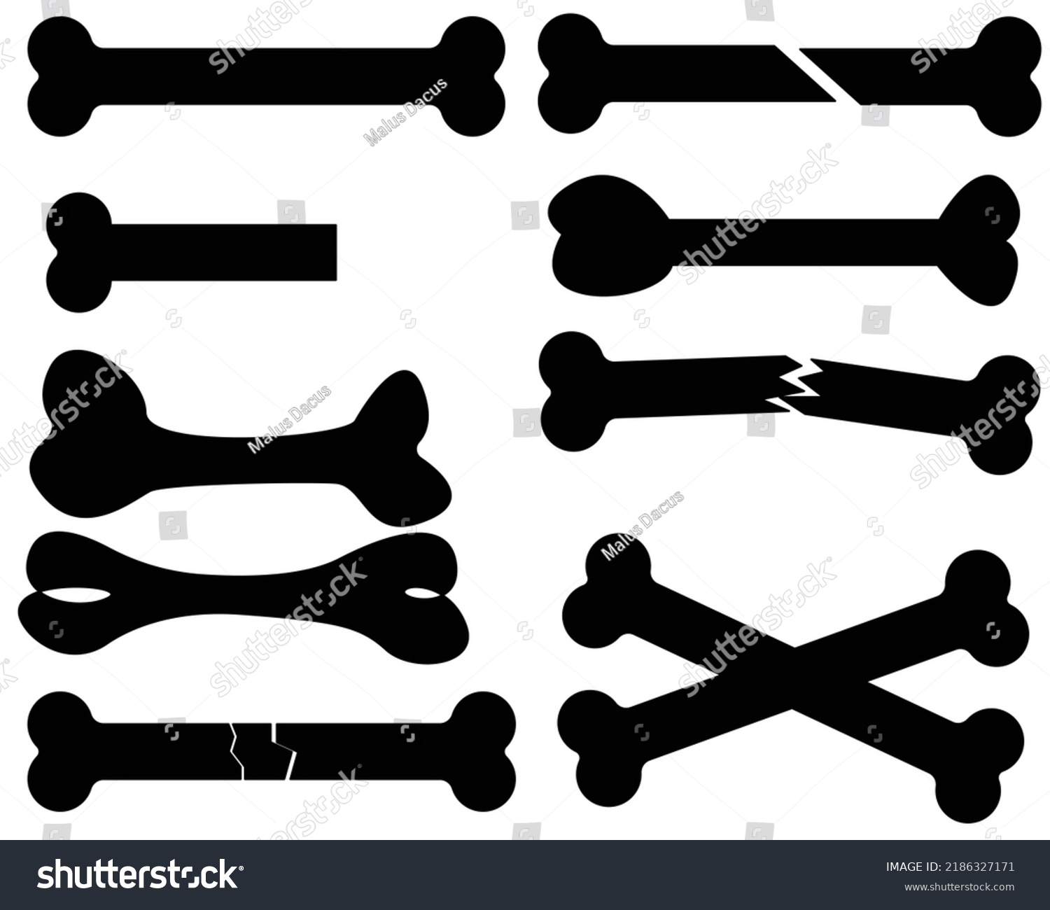 Bone Outline Collection Set Vector Stock Vector (Royalty Free ...