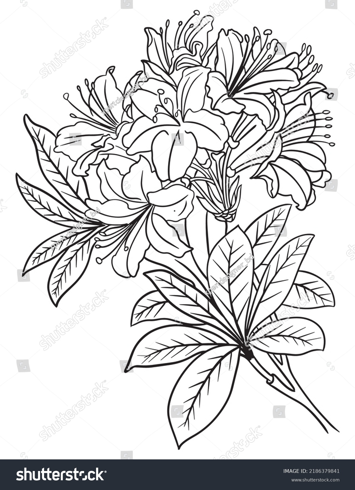 Flower Coloring Page Line Art Vector Stock Vector (Royalty Free ...