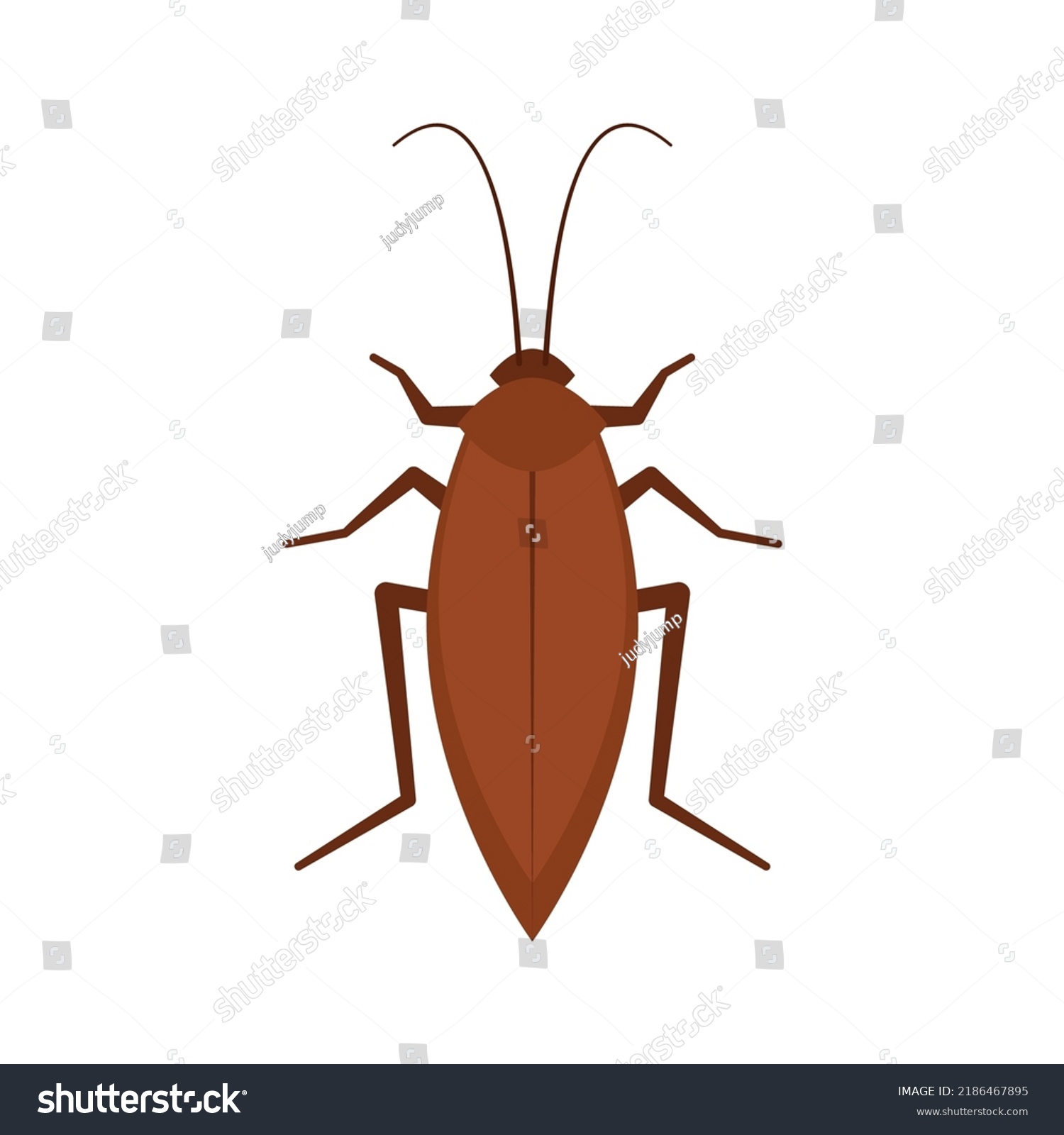 Cockroach Vector Cockroach On White Background Stock Vector (Royalty ...