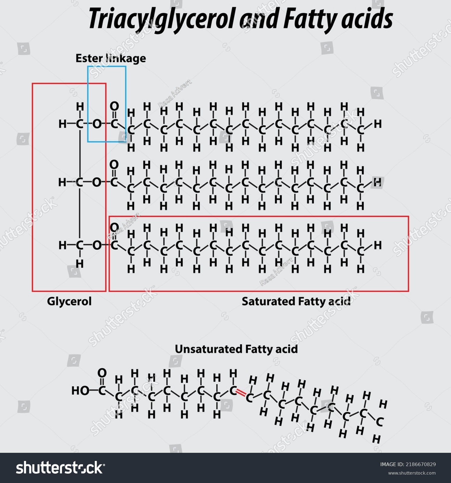 unsaturated molecule