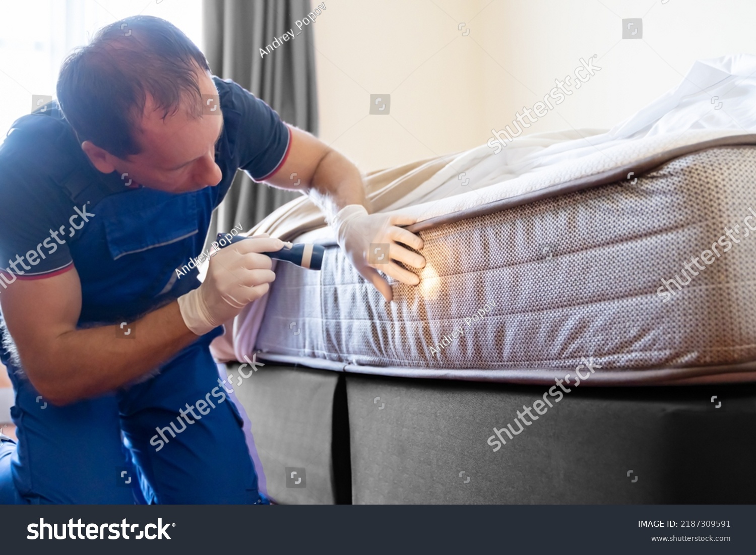 Bed Bug Infestation Treatment Service Bugs Stock Photo 2187309591 ...