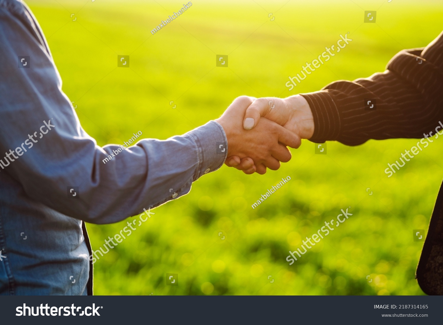 Two Farmers Making Agreement Handshake Green Stock Photo 2187314165 ...