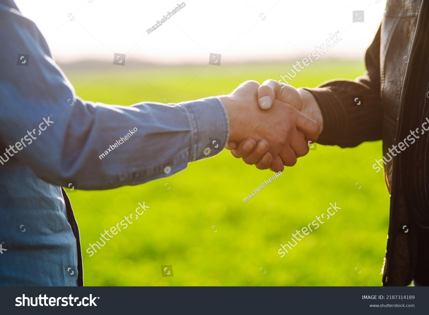 Two Farmers Making Agreement Handshake Green Stock Photo 2187314189 ...