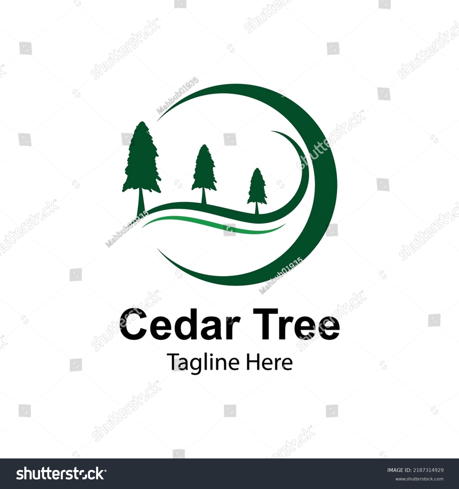 Cedar Tree Logo Design Template Pine Stock Vector (Royalty Free ...