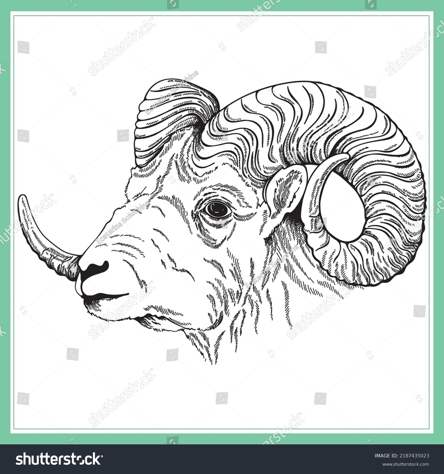 Hand Drawn Sketch Style Ram Isolated Stock Vector (Royalty Free ...