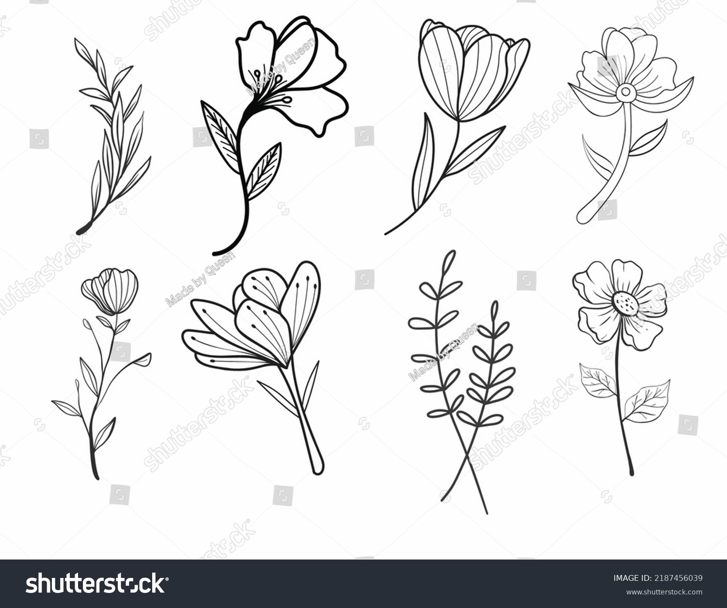 Botanical Vector Flower Black Outline Hand Stock Vector (Royalty Free ...