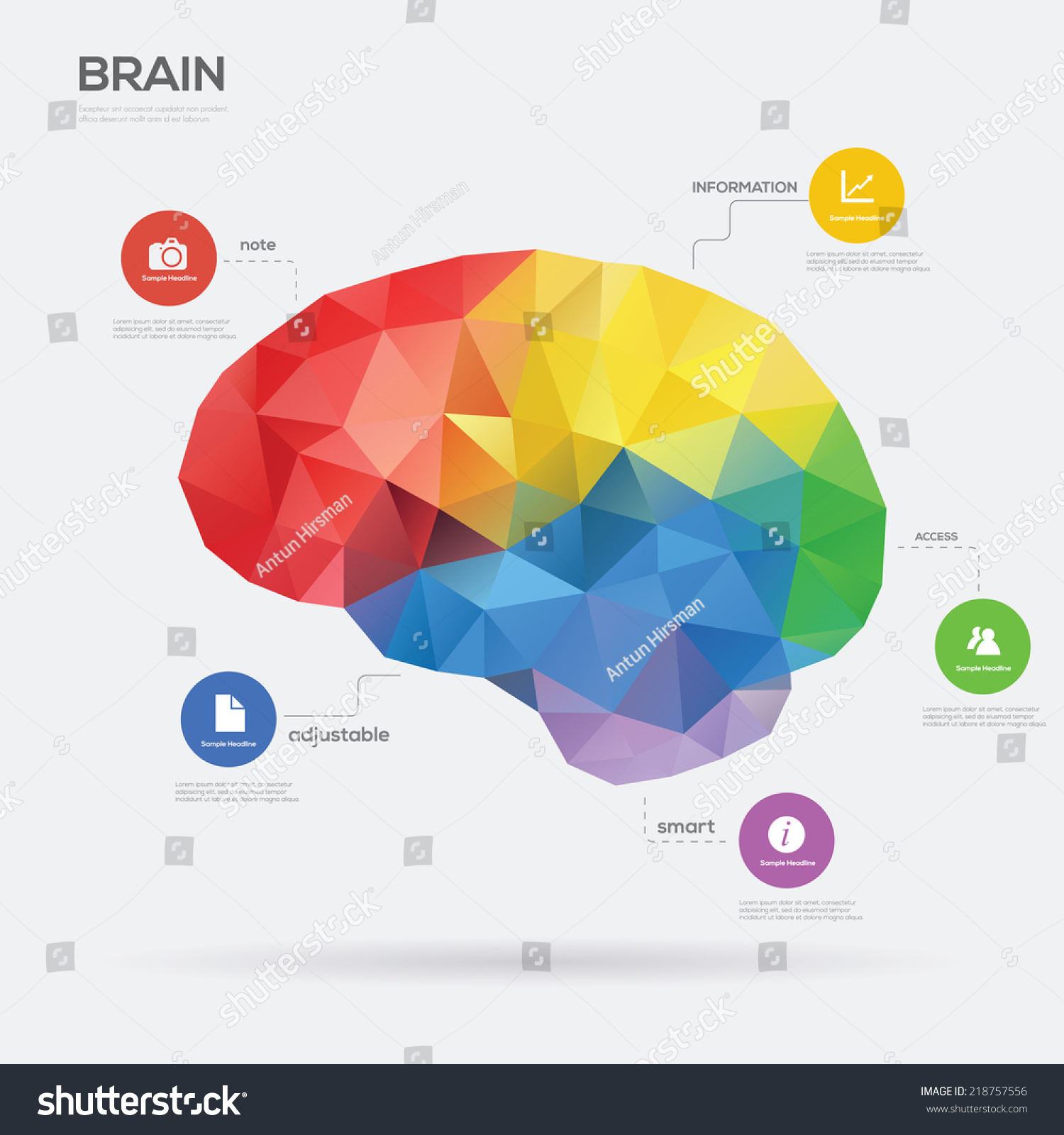 Brain Infographic Concept Vector Illustration Stock Vector (Royalty ...