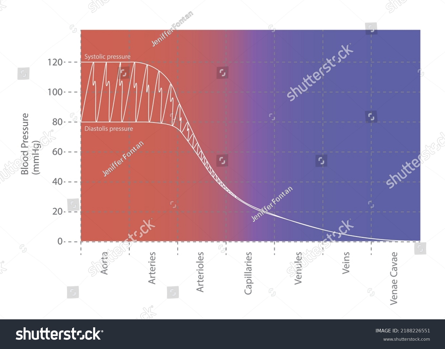 Systemic Blood Pressure Chart Chart Showing Stock Vector Royalty Free 2188226551 Shutterstock