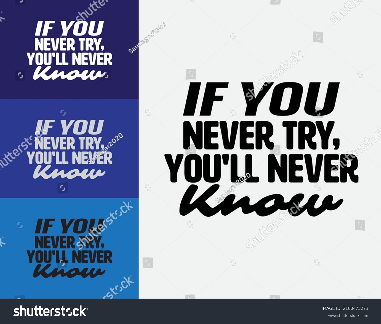 You Never Try Youll Never Know Stock Vector (Royalty Free) 2188473273 ...