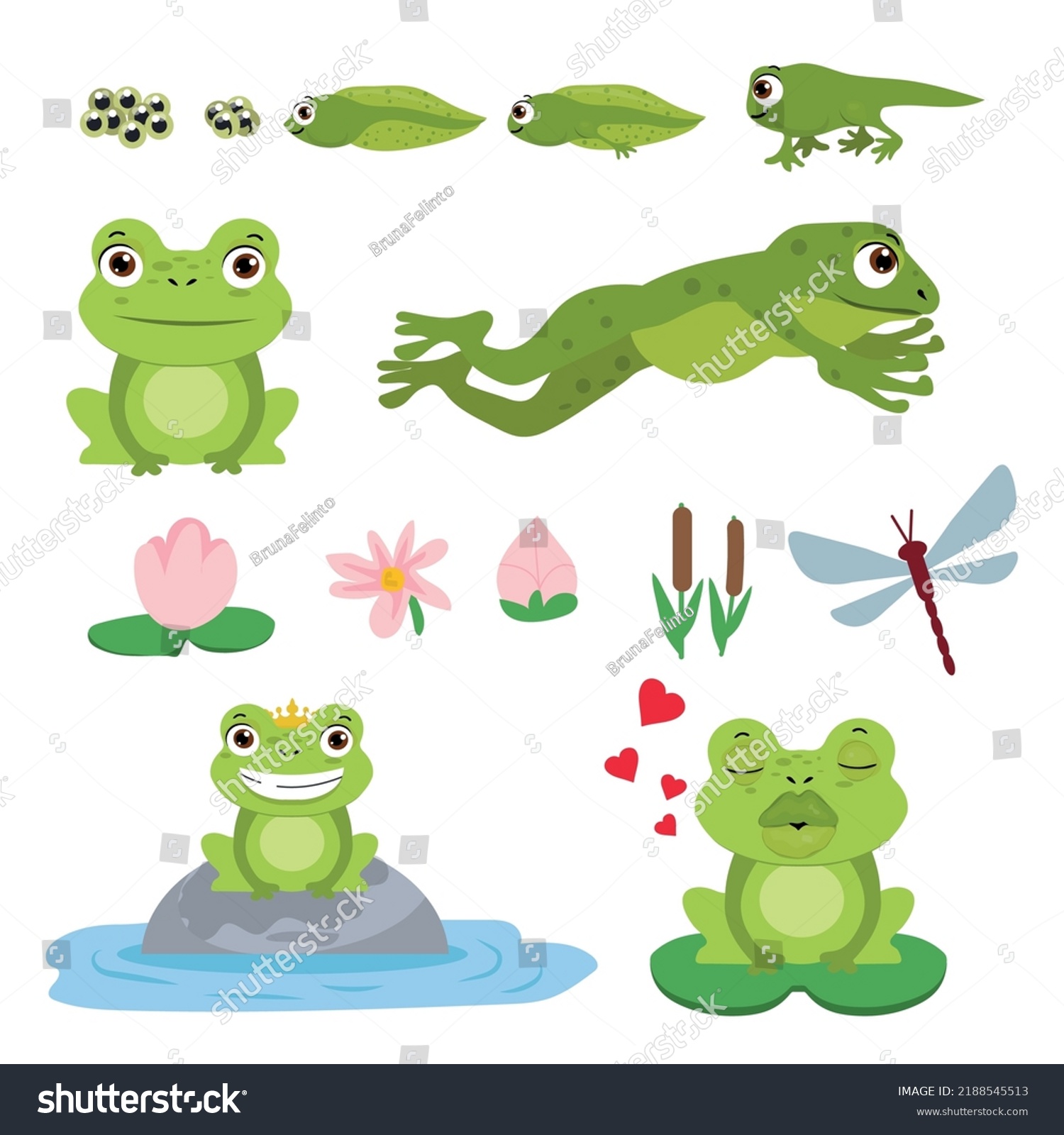 Cartoon Frogs Fluffy Green Frog Egg Stock Vector (Royalty Free ...